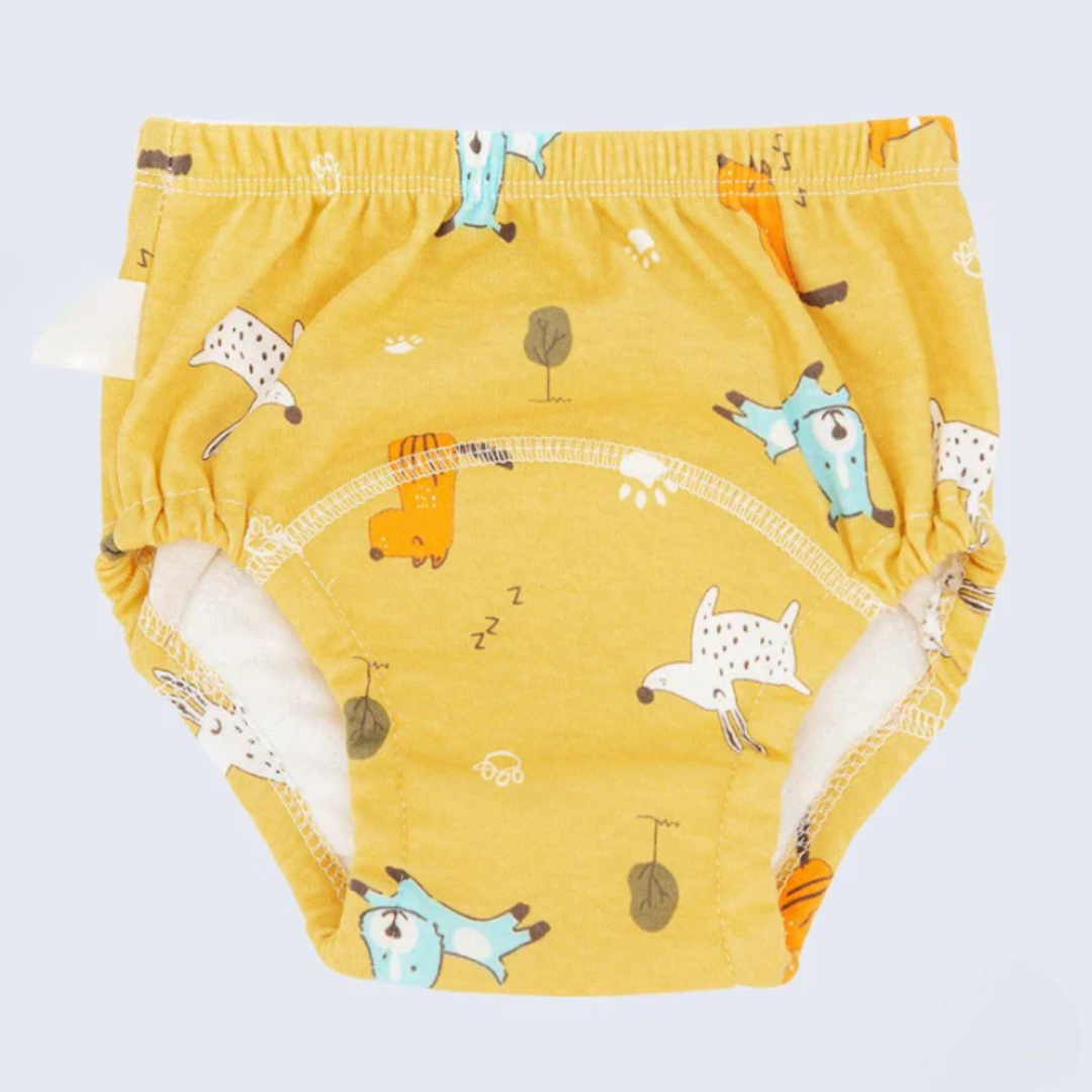 Tiny Explorings Potty Training Pants (3 Pack)